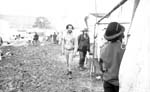 Muddy portrait, Glastonbury festival 1984.