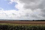 A Warwickshire view.