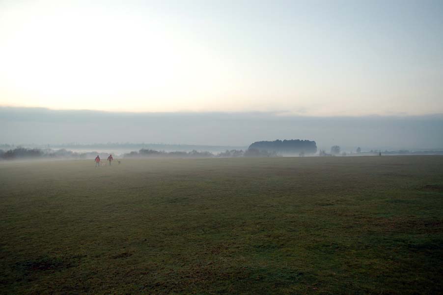 A misty Sutton park.