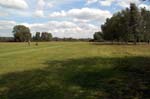 Golfing in Sutton park.