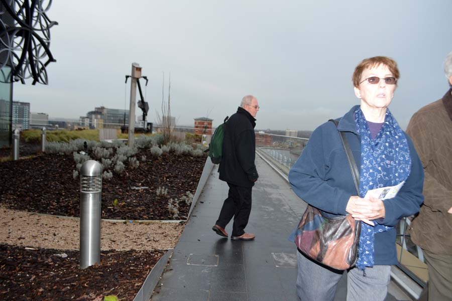 On the New Library roof.