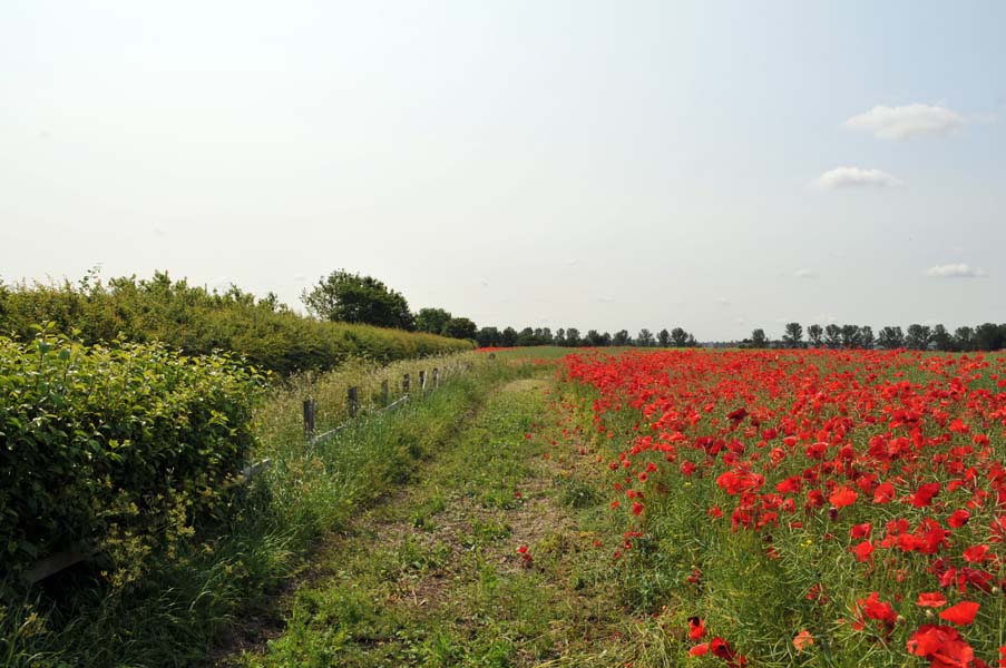 Looking back, Minworth.