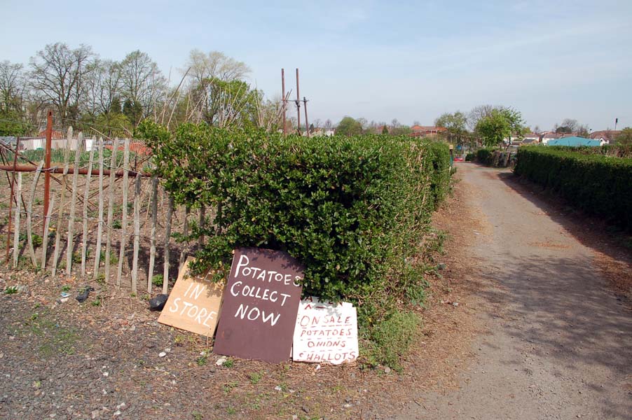 Yardley Green Road allotments.