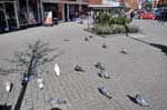 Pigeons enjoying the sun, Harbourne High Street.