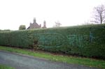 Tagged hedge, Yardley.