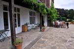 Tea on the terrace, Winterbourne house.