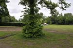 The fair, Cannon Hill park.