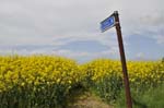 This way, near Lichfield.