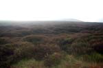 The long Mynd.