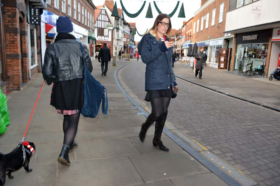 The dog with a scarf, Stratford upon Avon.