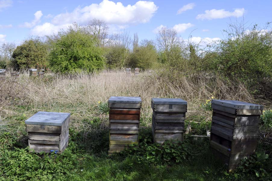 Beehives, Wilmcote.