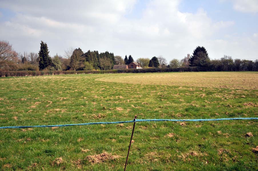 Cricket outfield, Longdon.