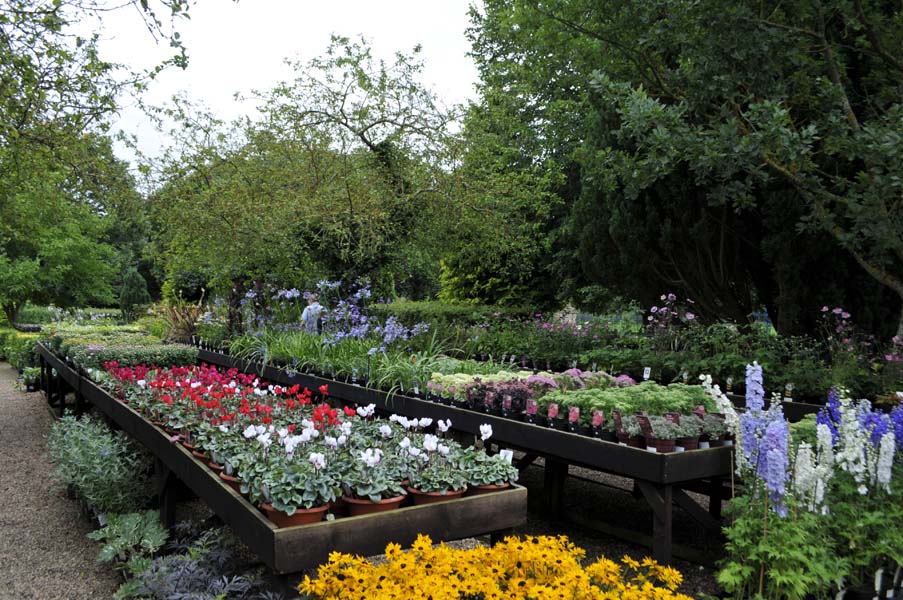 Garden centre, Charlecote.