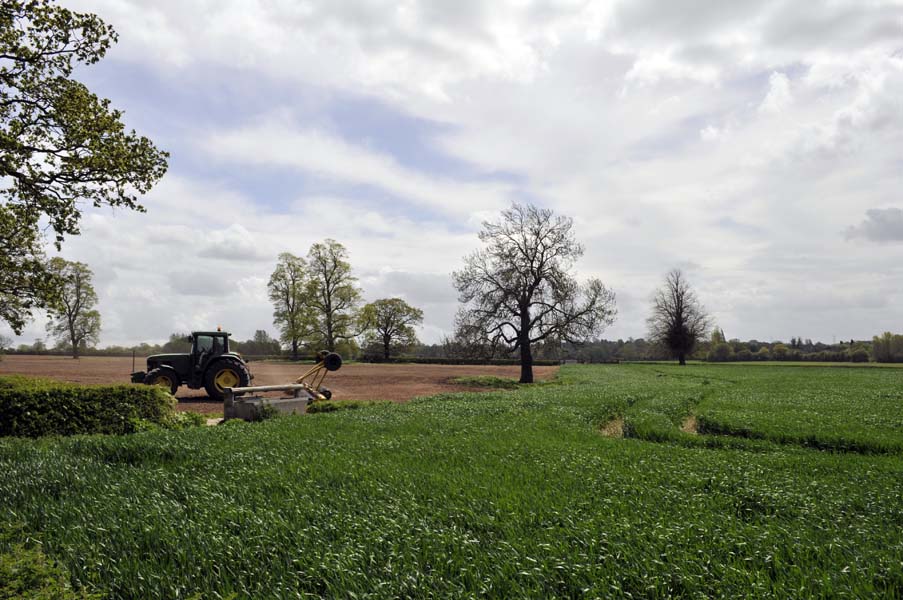 Harrowing a field, Warwickshire.