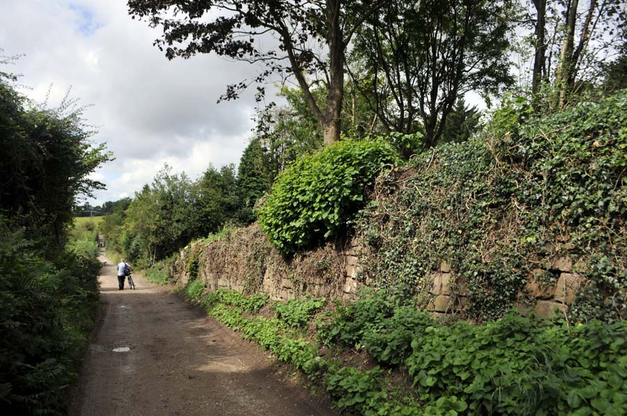 Lane by the castle, Kenilworth.