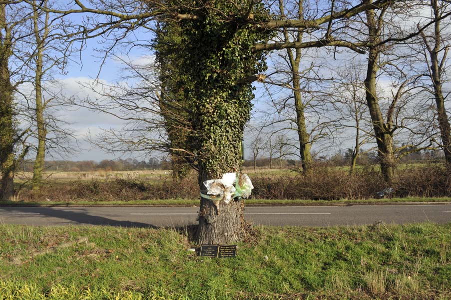 Memorial tree, near Hurley.