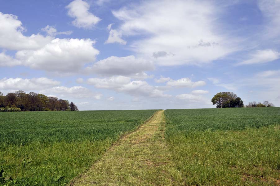 Public footpath, Warwickshire.