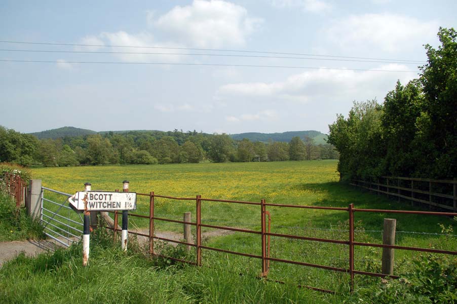 Road sign