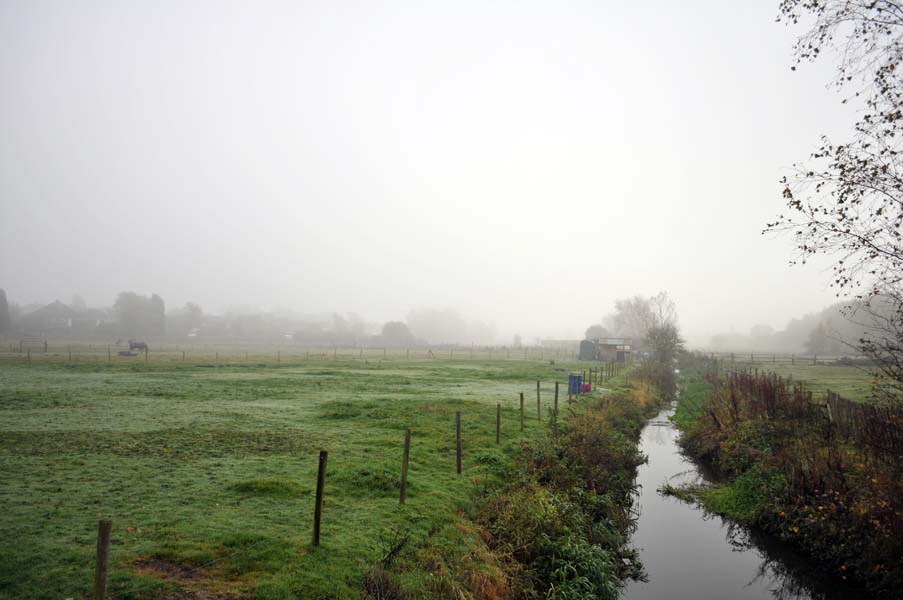 Stream Pelsall.