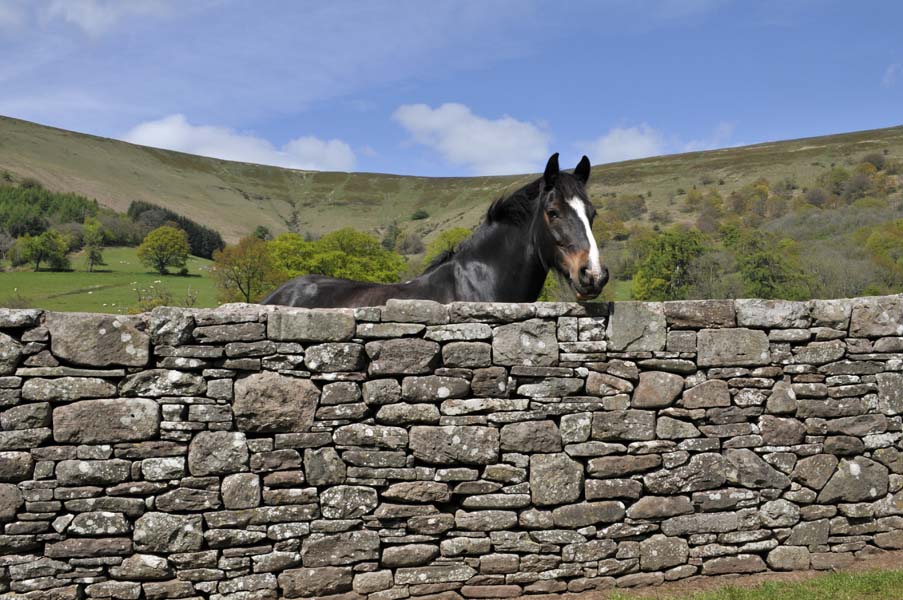 The Priory wall, Llantony.