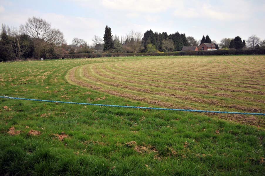 The cricket outfield, Longdon.