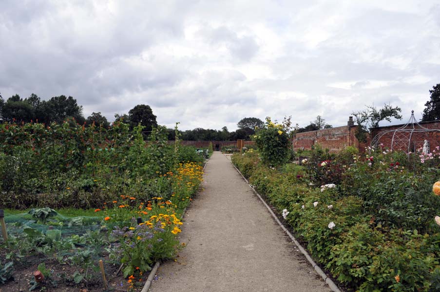 The long path, Elford community gardens.