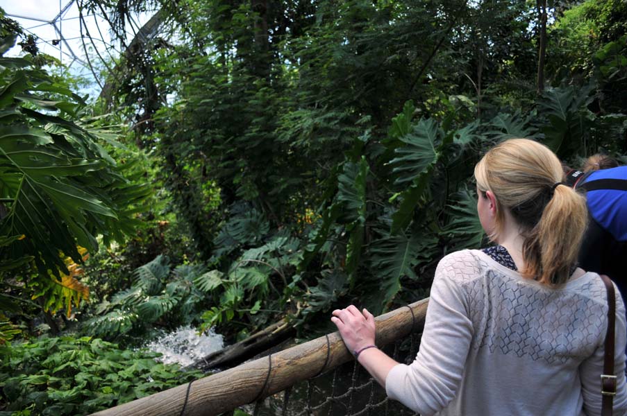 The waterfall, the Eden project.