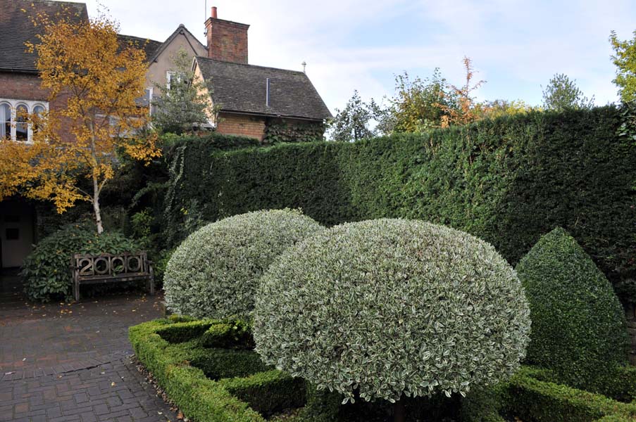 Topiary, Warwick.