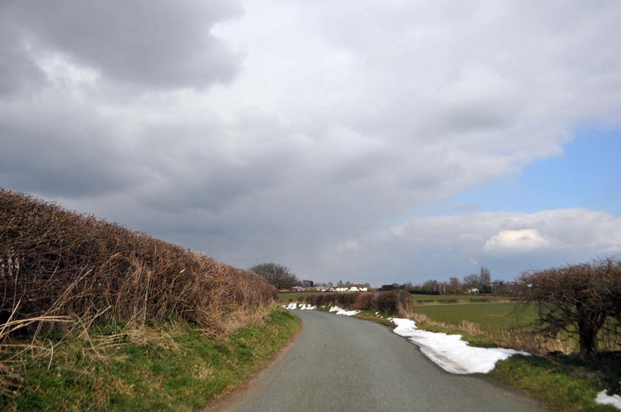 Waiting for spring, Staffordshire.