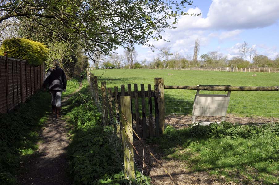 Walking the dog, Wilmcote.