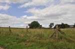 Concrete fencing.