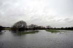 Flooded fields.