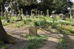 Known to many, the grave of Nick Drake.