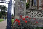 Red flowers, Charlecote house.