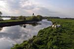 The river Tame, Kingsbury.