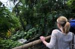 The waterfall, the Eden project.