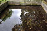 The well at Berkswell.