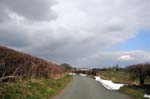 Waiting for spring, Staffordshire.