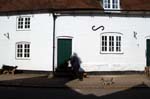 Walking the dogs, Berkswell.