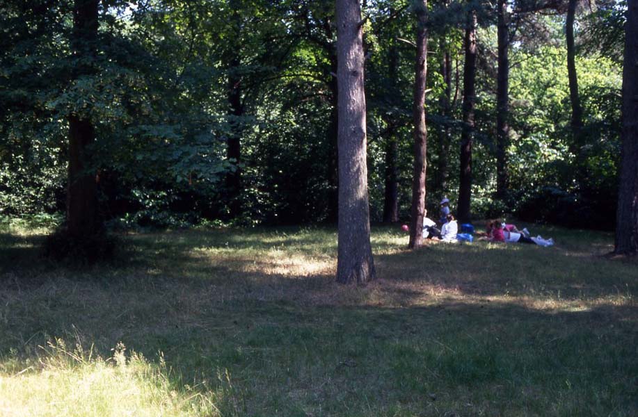 Picnic, Sutton park.