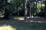 Picnic, Sutton park.