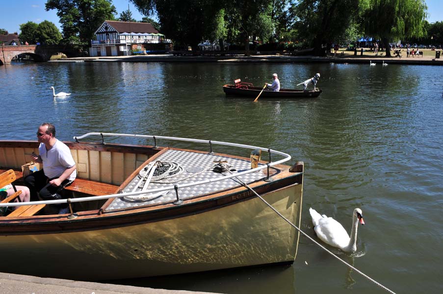 The dog in the boat, the river Avon.