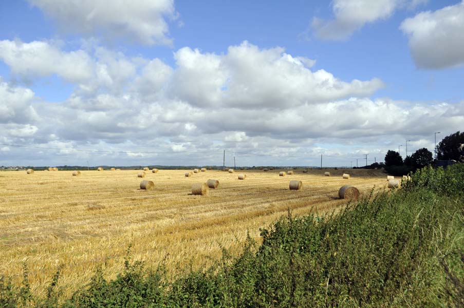 The last of the summer wine, near Stratford.