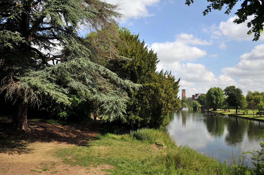 The new Swan theatre from the Avon.