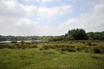 Heathland and Powells pool.