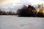 Meadow Platt, Sutton park.