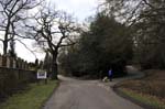 Walking the dog, Sutton park.