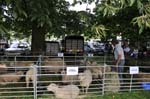 Waiting to be judged, the Canwell show.